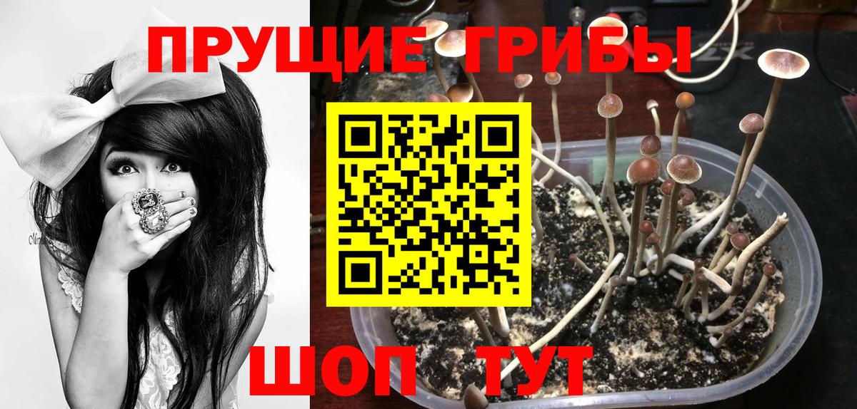 Губкинский  Псилоцибиновые грибы Magic Shrooms  Вход с VPN 
