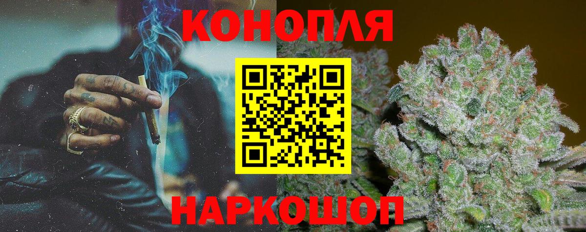 Марихуана семена Губкинский